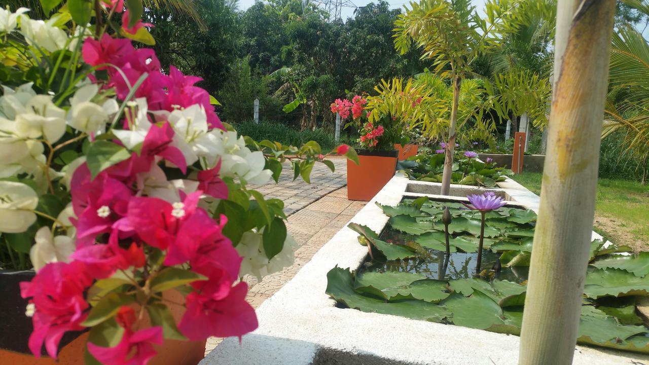 Miheen Hotel & Resort - Anuradhapura Mihintale Esterno foto