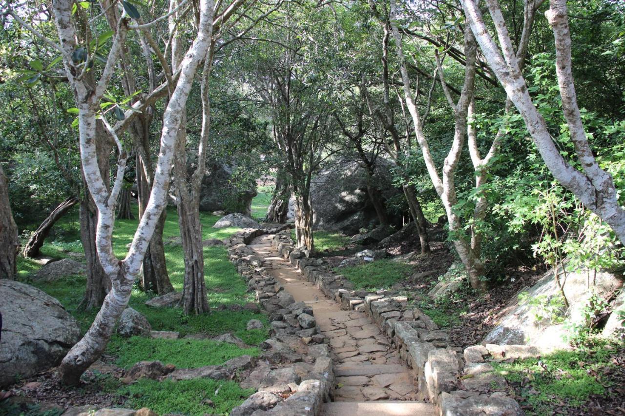 Miheen Hotel & Resort - Anuradhapura Mihintale Esterno foto