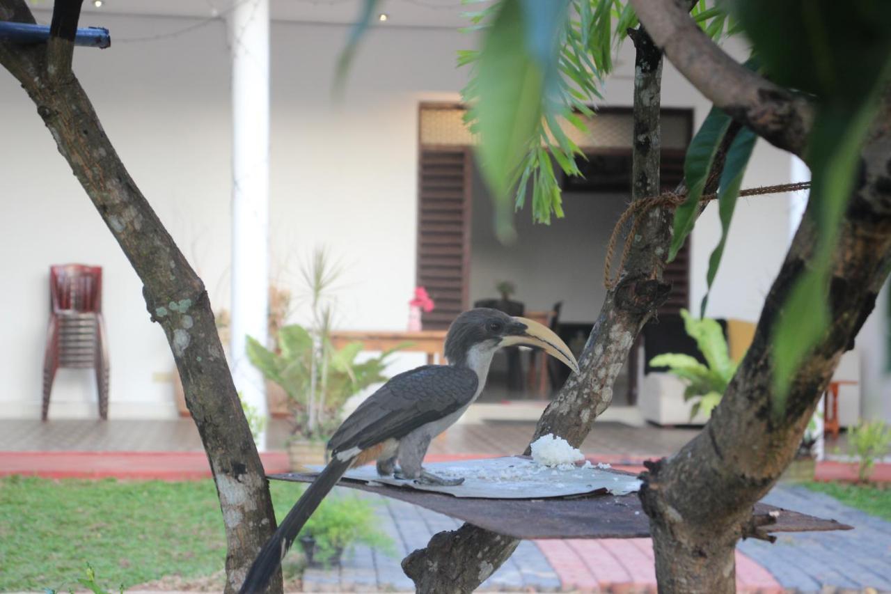 Miheen Hotel & Resort - Anuradhapura Mihintale Esterno foto